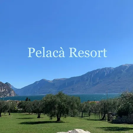 Pelaca 6 *